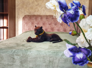 Апартаменты "Багира" рядом Протон-Арена, бассейн ДВВС, СКАД, въезд в город, Р228