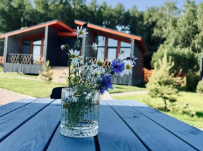 Глэмпинг Ruza River Club
