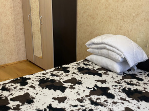 Квартира Дом Гончарова на Нестерова 6