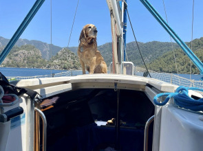 Бунгало Marimare Beach & Bungalow