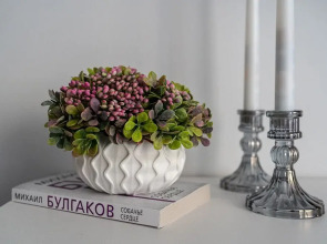 Апартаменты LaMansh Apartment