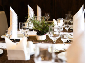 Гостиничный комплекс Парк-отель «Беловежская пуща»