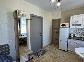 Квартира Семеновская