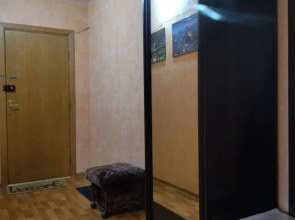 Квартира Двушка у аэропорта