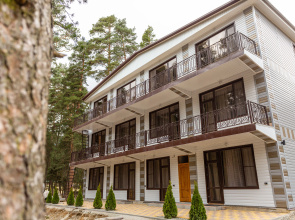Sneginy Guest House