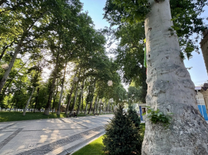 Отель Aliz Boulevard