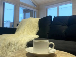 Частный дом Барн-хаус с сауной и чаном