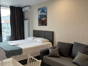 Uyutnaya Studiya ryadom s Aeroportom Apartments