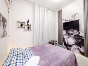 Апартаменты Жуковского 1/2/10 с2 (104)