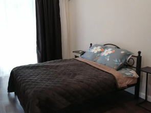 Bolshaya Dvushka V Istoricheskom Tsentre Goroda Apartments