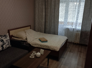Flat Domashnyaya