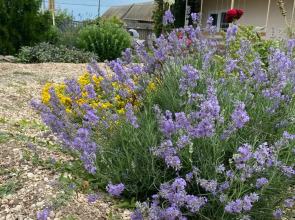 Гостевой дом Уфимочка