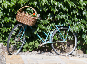 Отель Рай-Ski Домик