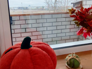 Квартира с панорамным видом на Суздаль