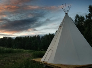 Глэмпинг Папоротник