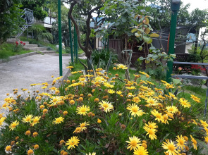 Гостевой дом Мандариновый Рай