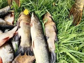 Частный дом На Берегу Озера