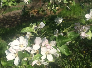 Гостевой Дом на Куйбышева