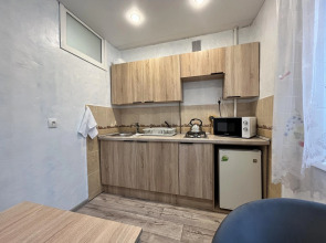 Апартаменты у метро Горьковская