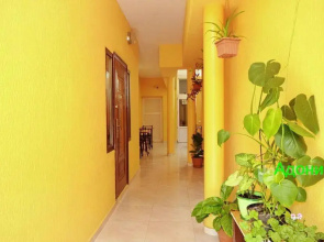 Adonis Guest House