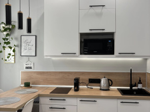 Квартира с парковкой в центре Санкт-Петербурга 1