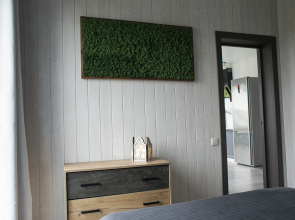 Частный дом Алтын Сарай