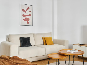 Апартаменты в Скандинавском стиле в центре Москвы