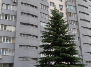 Квартира в Центре рядом с РКБ им. Куватова