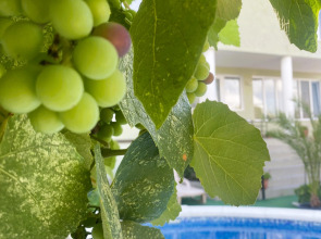 Гостевой дом Регион Море