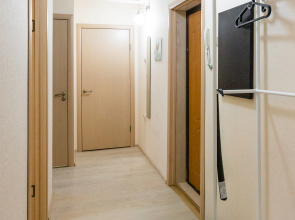 Апартаменты Arctic Natura Apartment