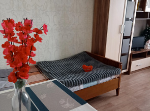 Квартира в 15 мин от центра в экологически чистом Заволжском р-не