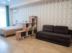 Апартаменты Malina Shtolz Studio