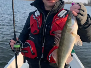 База отдыха Замок