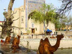 Гостевой дом MAR.s