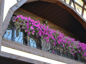 Отель Птичь