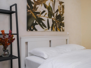 Апартаменты Домант Романова 60