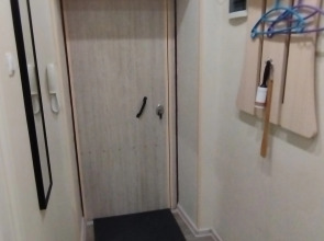 Квартира 1-комнатная на Пушкина 56