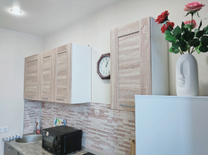 Квартира у ТЦ Кристалл Менделеева 2к2