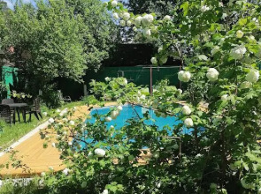 Меблированные комнаты Мещерино