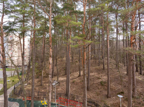 Апартаменты Silent Lake Studio