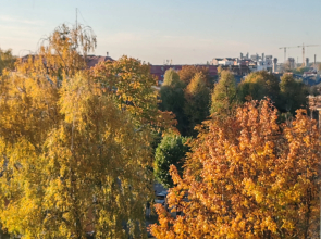 Апартаменты Морские