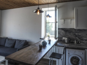 Гостевой дом Особняк на Еленинской