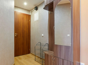 Квартира на Озерковой 51к2
