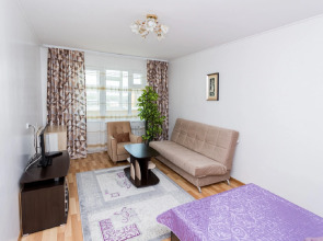 Апартаменты на Емельянова 35А (4)