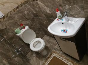 Апартаменты VIP 329