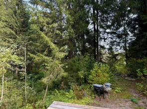 Частный дом Юрта среди сосен