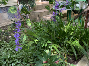 Гостевой дом Жемчужина у моря