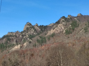 Меблированные комнаты Надежда