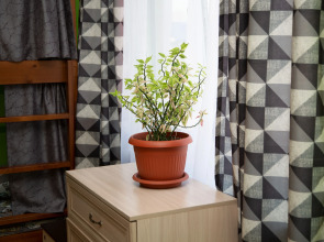 Хостел Белояръ