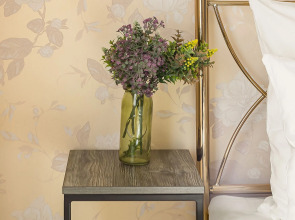 Апартаменты Горького 162